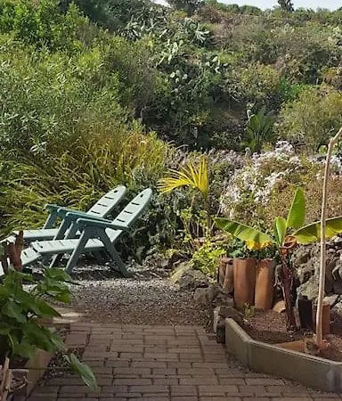 Primavera Peqa Genovés